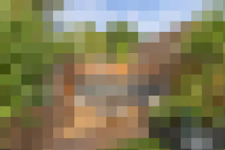 Vrijheidsplaat 61 Emmeloord thumbnail 34