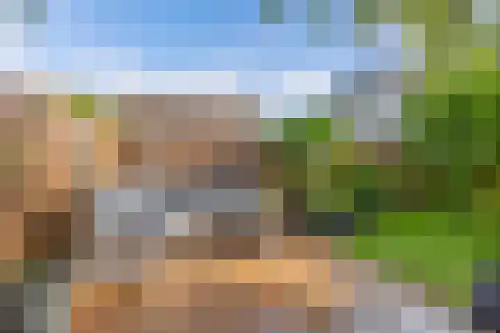 Vrijheidsplaat 61 Emmeloord thumbnail 35