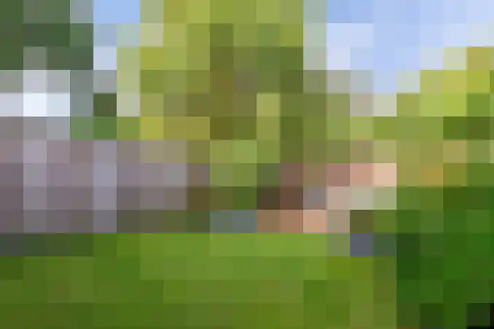 Vrijheidsplaat 61 Emmeloord thumbnail 36