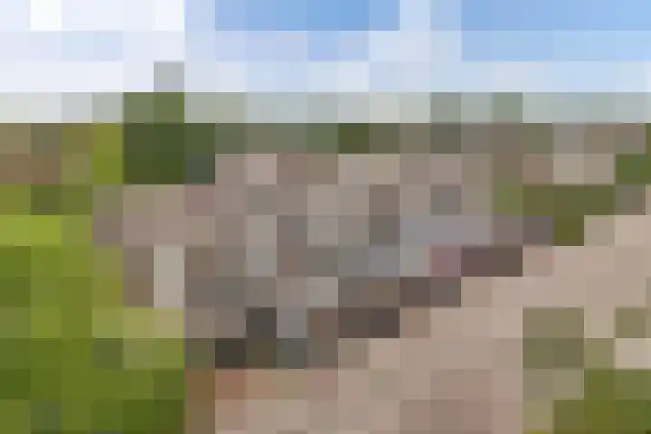 Vrijheidsplaat 61 Emmeloord thumbnail 6