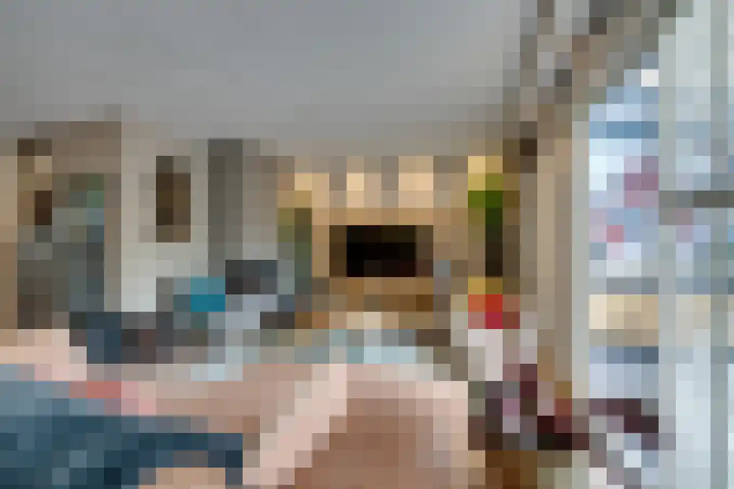 Vrijheidsplantsoen 24 Purmerend thumbnail 10