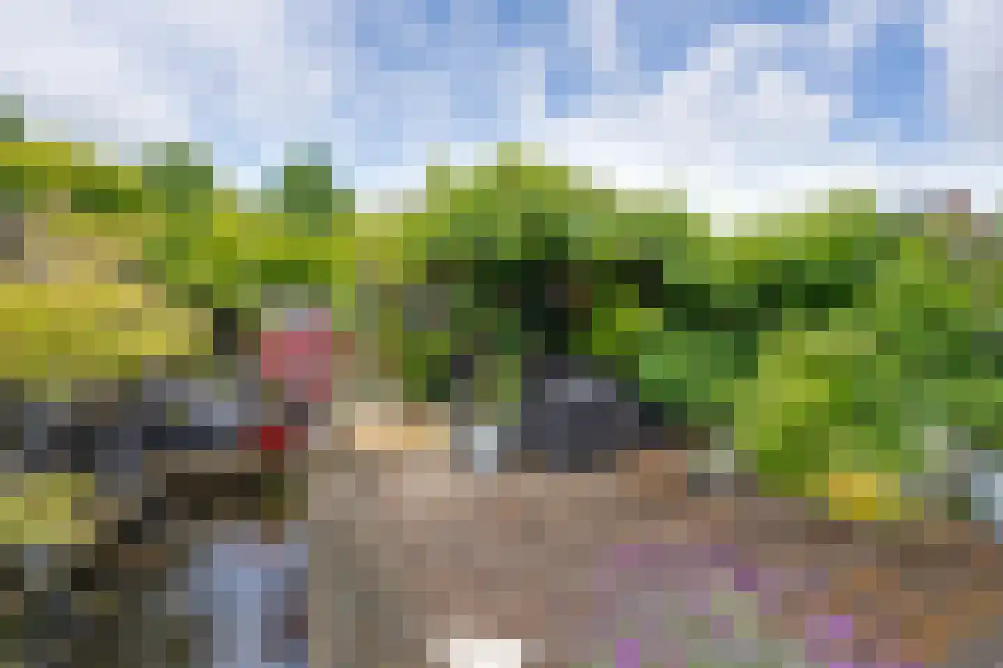Vrijheidsplantsoen 24 Purmerend thumbnail 11