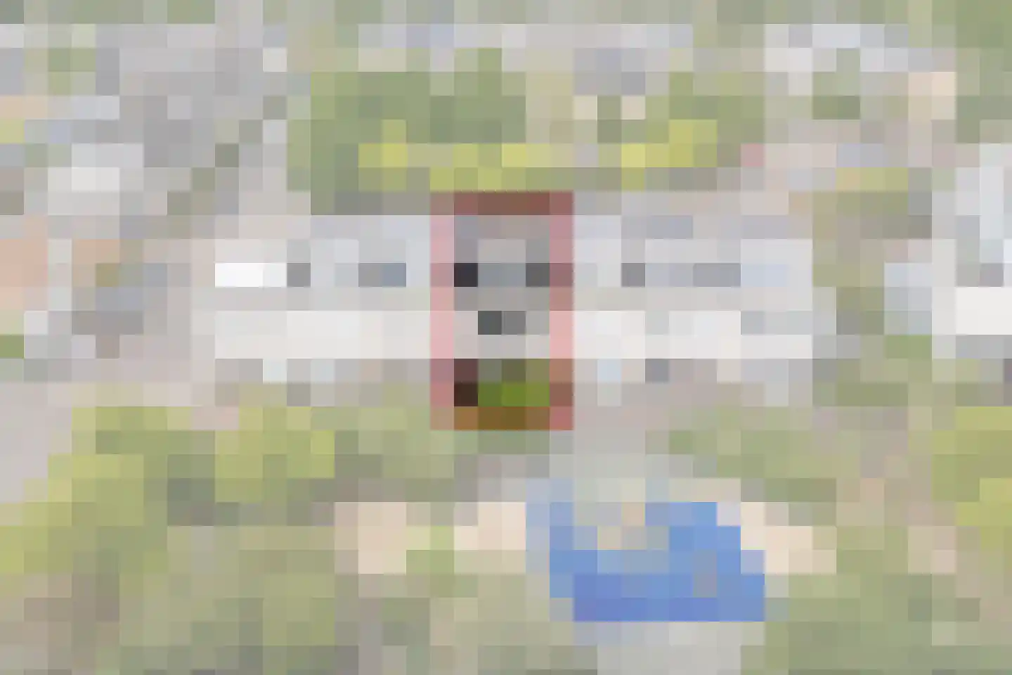 Vrijheidsplantsoen 24 Purmerend thumbnail 12