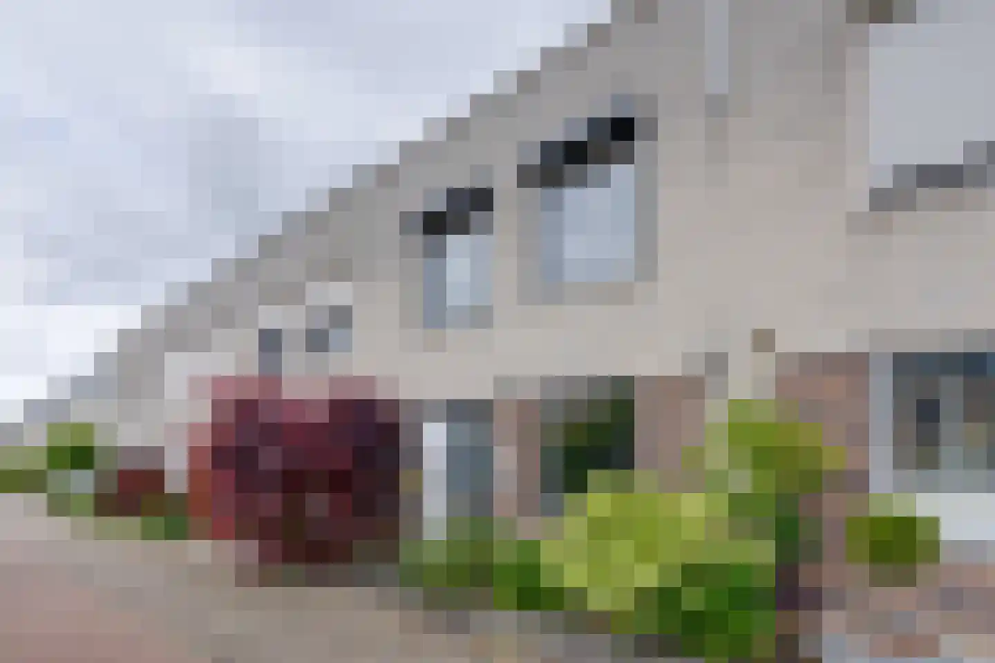 Vrijheidsplantsoen 24 Purmerend thumbnail 13