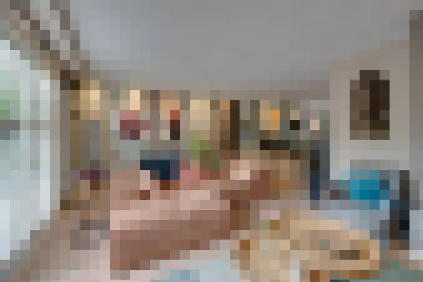 Vrijheidsplantsoen 24 Purmerend thumbnail 17
