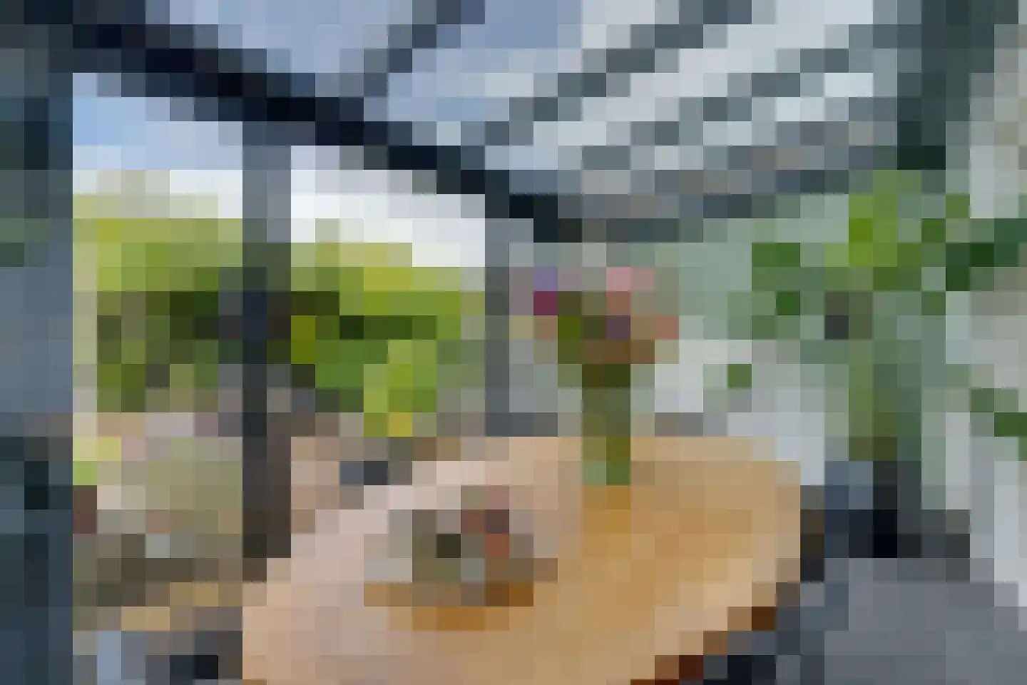 Vrijheidsplantsoen 24 Purmerend thumbnail 24