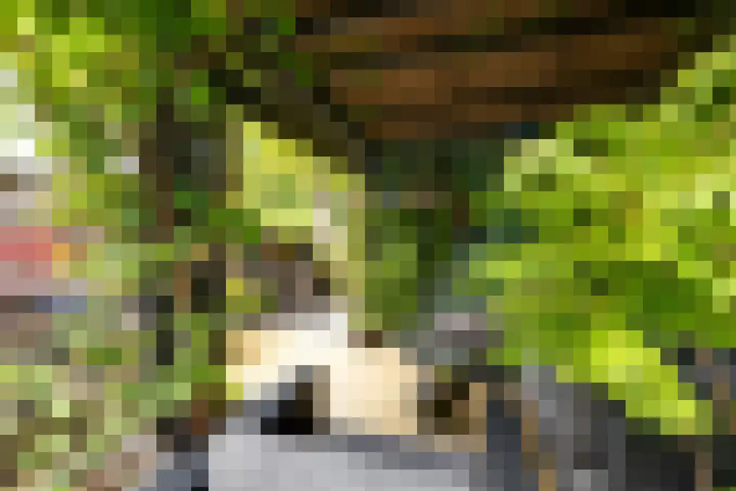 Vrijheidsplantsoen 24 Purmerend thumbnail 27