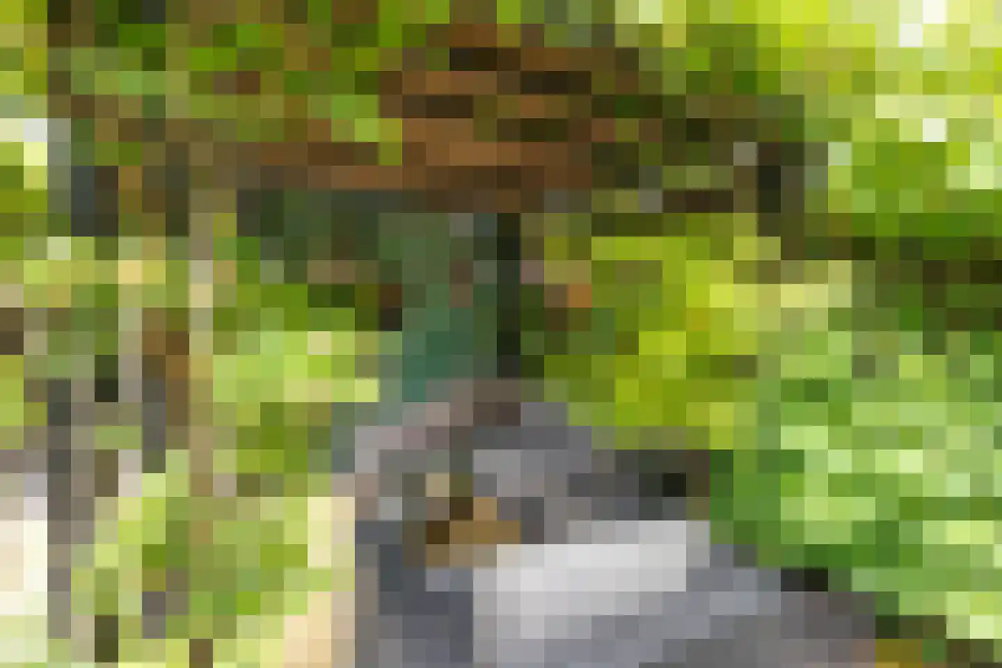 Vrijheidsplantsoen 24 Purmerend thumbnail 28