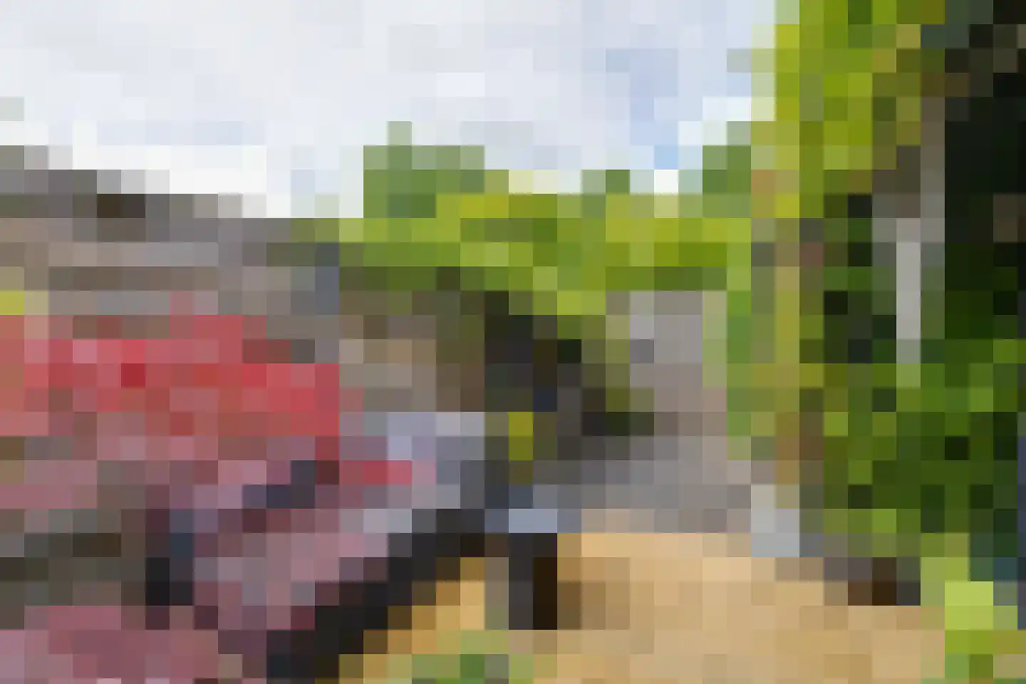 Vrijheidsplantsoen 24 Purmerend thumbnail 29