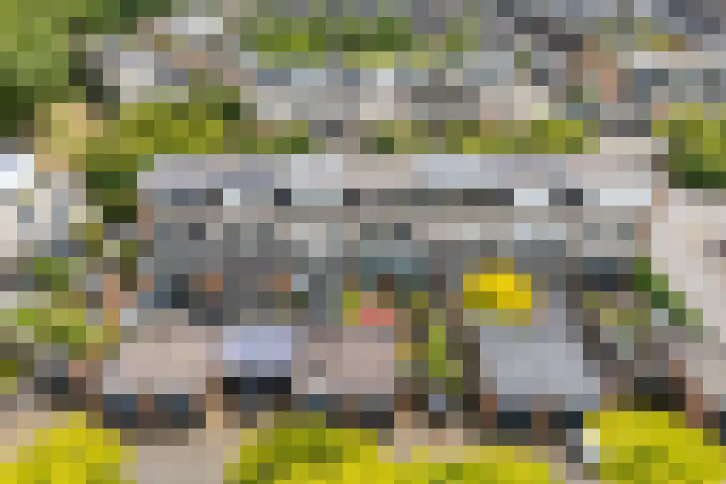 Vrijheidsplantsoen 24 Purmerend thumbnail 32