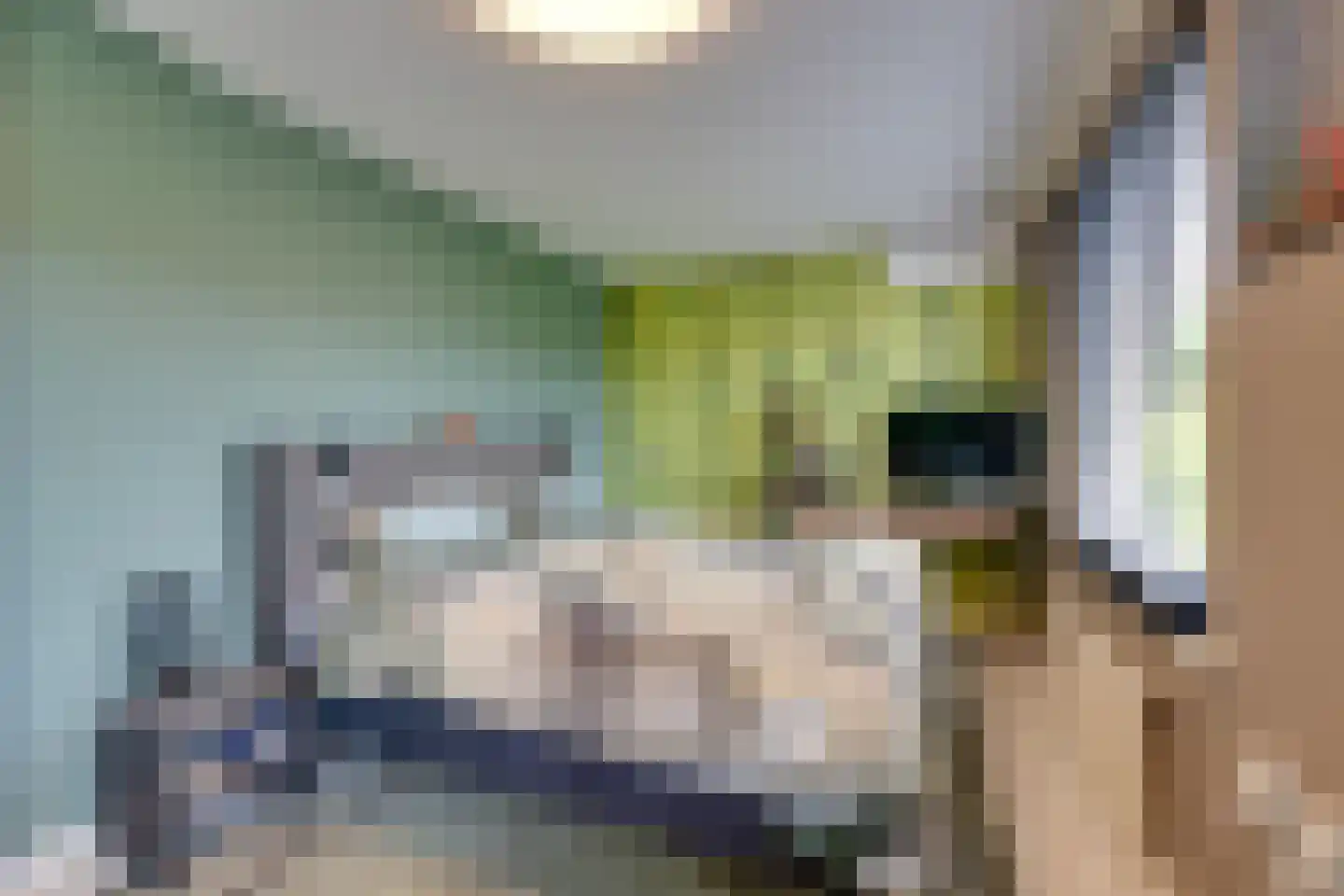 Vrijheidsplantsoen 24 Purmerend thumbnail 37