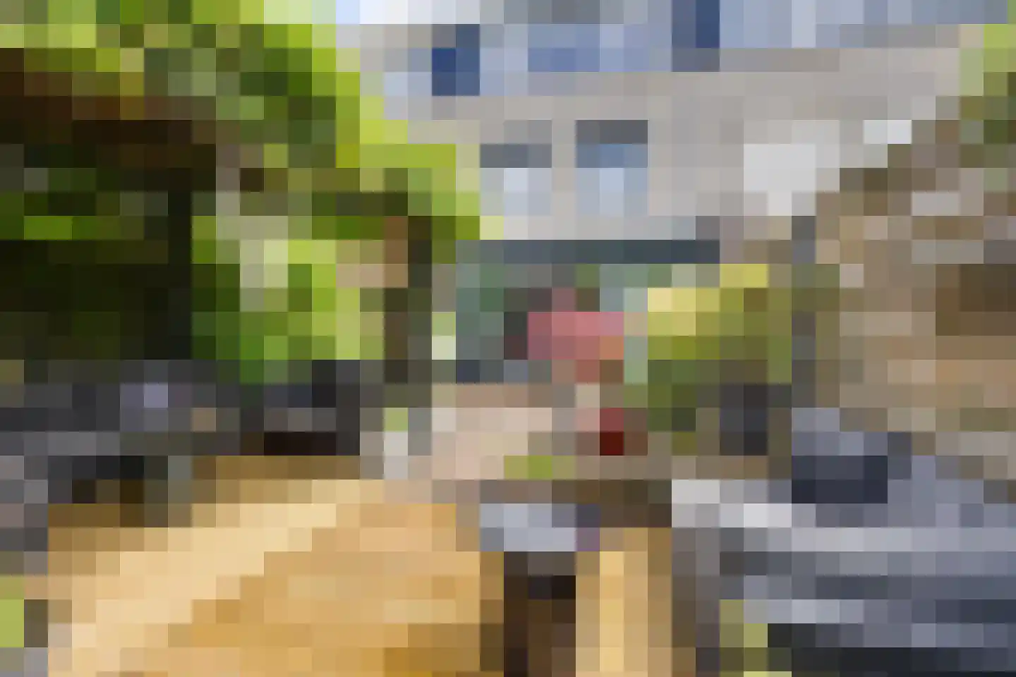 Vrijheidsplantsoen 24 Purmerend thumbnail 4