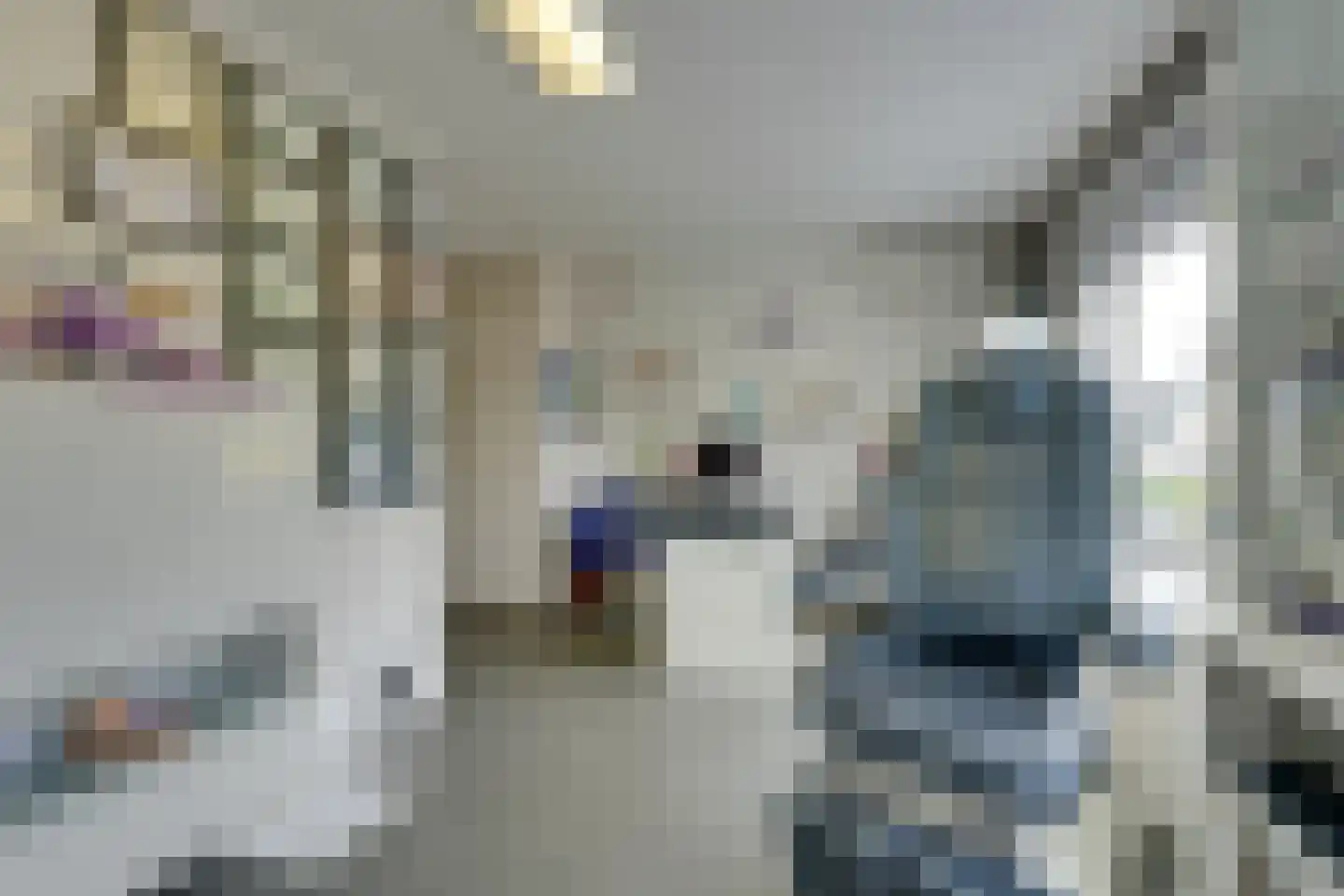 Vrijheidsplantsoen 24 Purmerend thumbnail 42