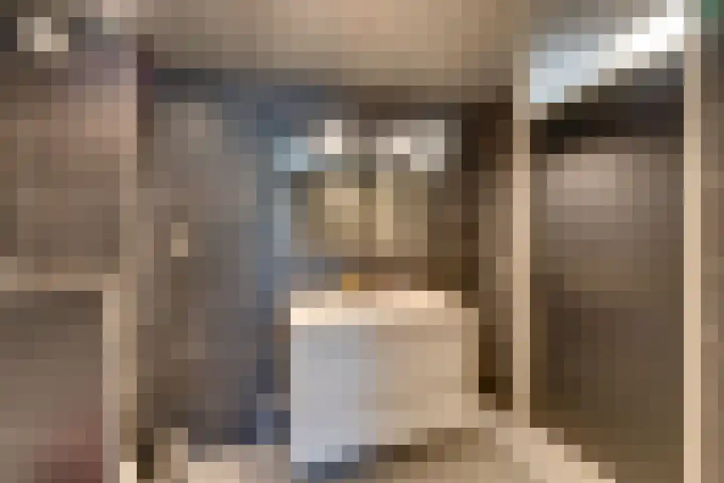 Vrijheidsplantsoen 24 Purmerend thumbnail 45