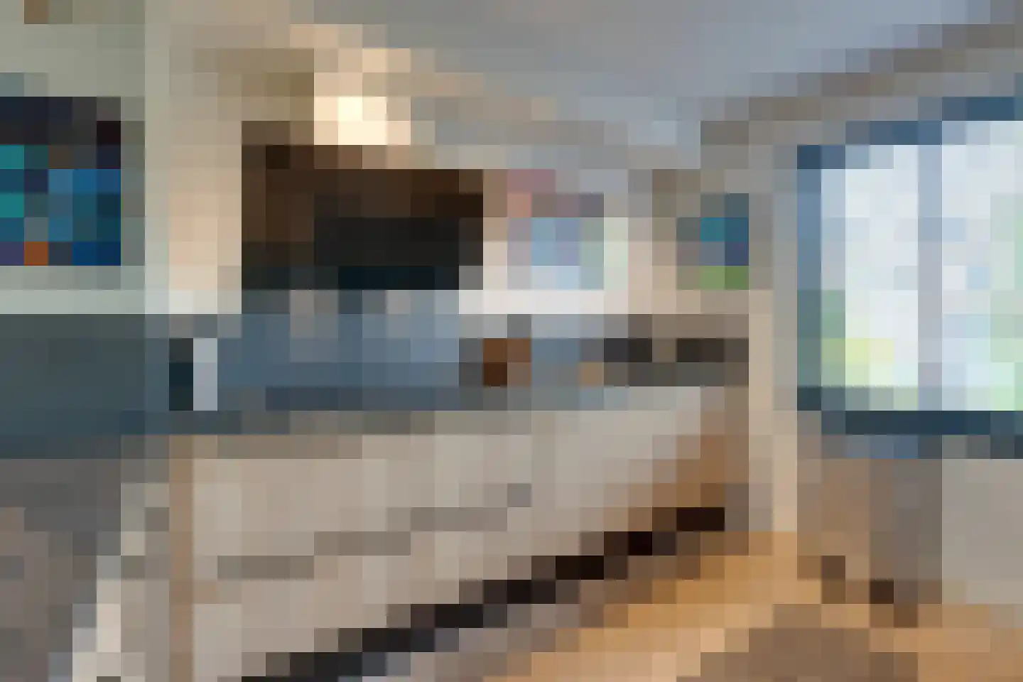 Vrijheidsplantsoen 24 Purmerend thumbnail 5