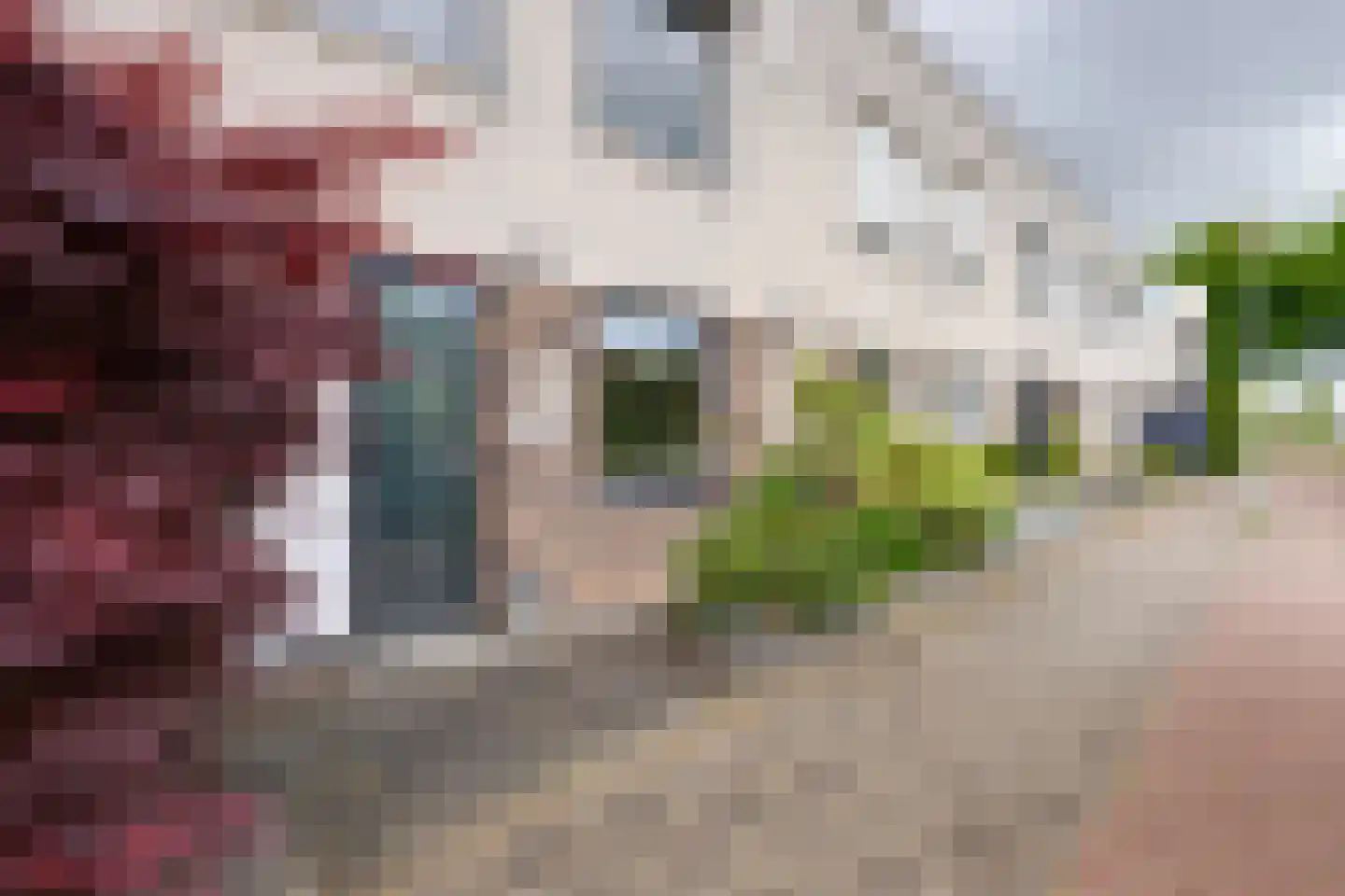 Vrijheidsplantsoen 24 Purmerend thumbnail 57