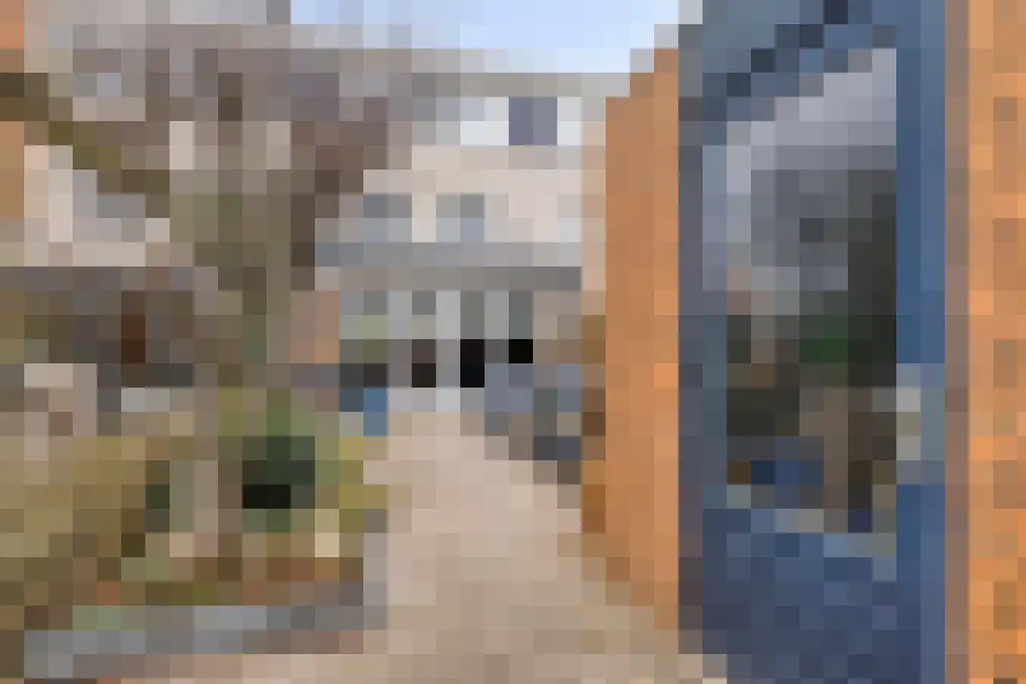 Vrijheidsplantsoen 27 Purmerend thumbnail 30