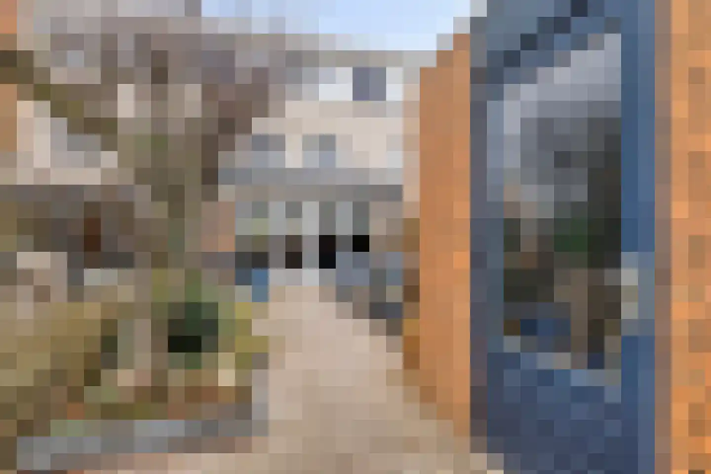 Vrijheidsplantsoen 27 Purmerend thumbnail 30