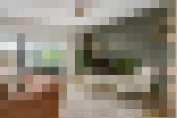 Vrijheidsplantsoen 39 Purmerend thumbnail 11