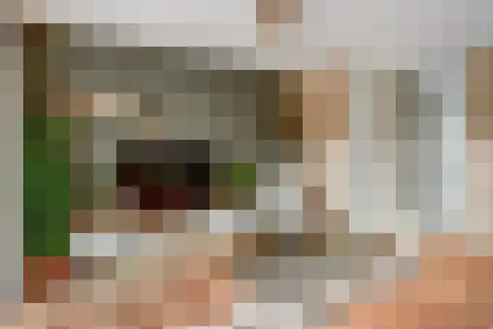 Vrijheidsplantsoen 39 Purmerend thumbnail 13
