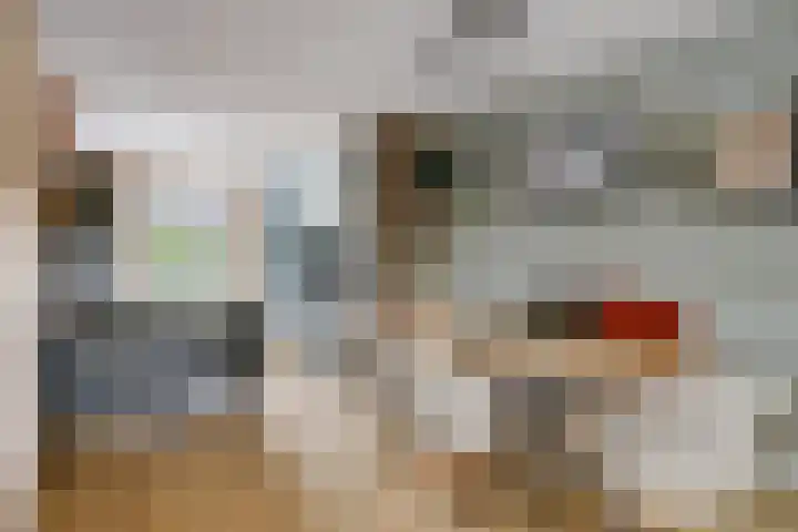 Vrijheidsplantsoen 39 Purmerend thumbnail 16