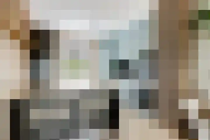 Vrijheidsplantsoen 39 Purmerend thumbnail 17