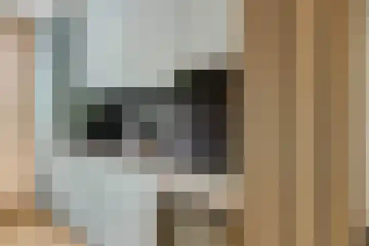Vrijheidsplantsoen 39 Purmerend thumbnail 18