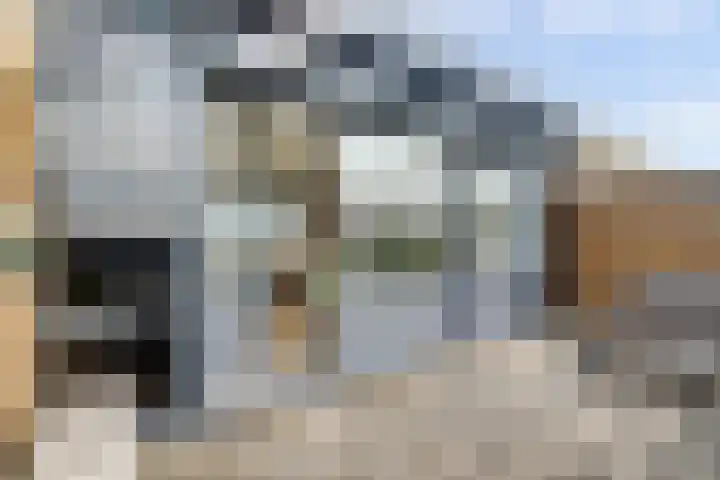Vrijheidsplantsoen 39 Purmerend thumbnail 39