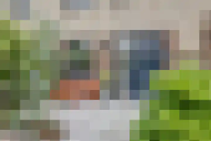 Vrijheidsplantsoen 39 Purmerend thumbnail 4