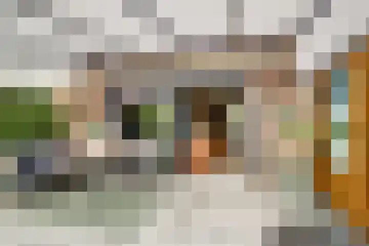 Vrijheidsplantsoen 39 Purmerend thumbnail 43
