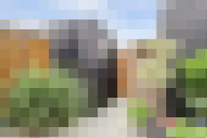 Vrijheidsplantsoen 39 Purmerend thumbnail 44
