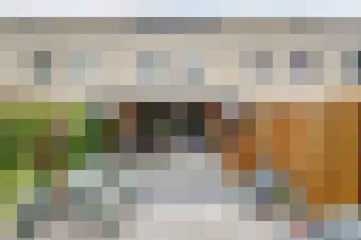 Vrijheidsplantsoen 39 Purmerend thumbnail 46
