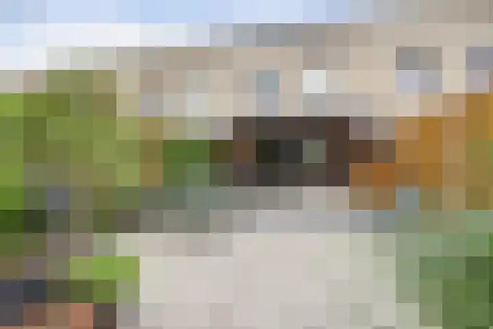 Vrijheidsplantsoen 39 Purmerend thumbnail 51