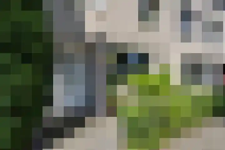 Vrijheidsplantsoen 6 Purmerend thumbnail 11