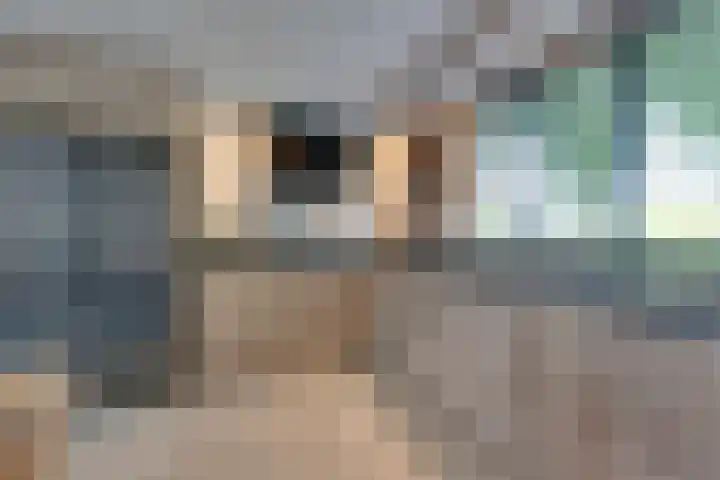 Vrijheidsplantsoen 6 Purmerend thumbnail 26
