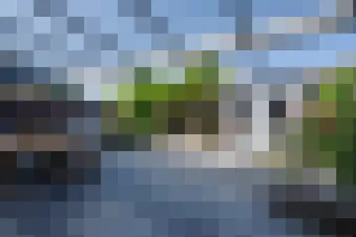 Vrijheidsplantsoen 6 Purmerend thumbnail 31