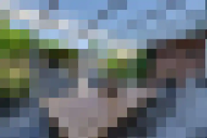 Vrijheidsplantsoen 6 Purmerend thumbnail 32