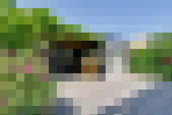 Vrijheidsplantsoen 6 Purmerend thumbnail 33
