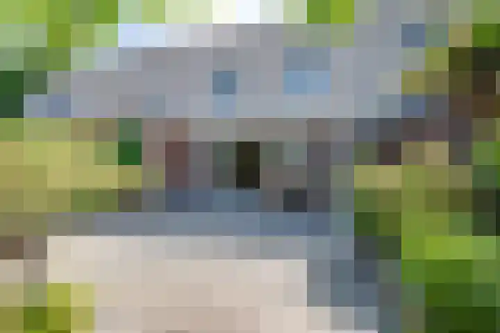 Vrijheidsplantsoen 6 Purmerend thumbnail 36