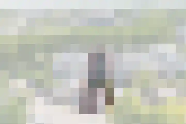 Vrijheidsplantsoen 6 Purmerend thumbnail 4
