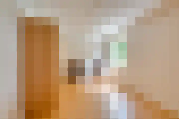 Vrijheidsplantsoen 6 Purmerend thumbnail 42