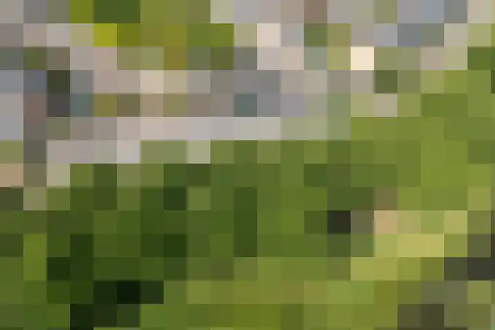 Vrijheidsplantsoen 6 Purmerend thumbnail 5
