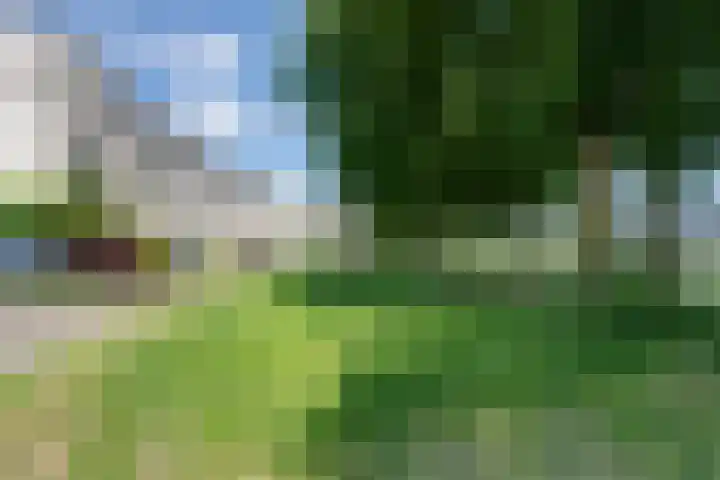 Vrijheidsplantsoen 6 Purmerend thumbnail 56