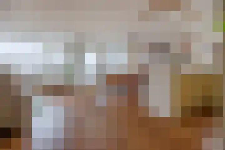 Vrijheidsstraat 12 Leerdam thumbnail 4