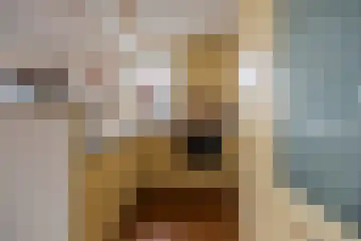 Vrijheidsstraat 12 Leerdam thumbnail 8