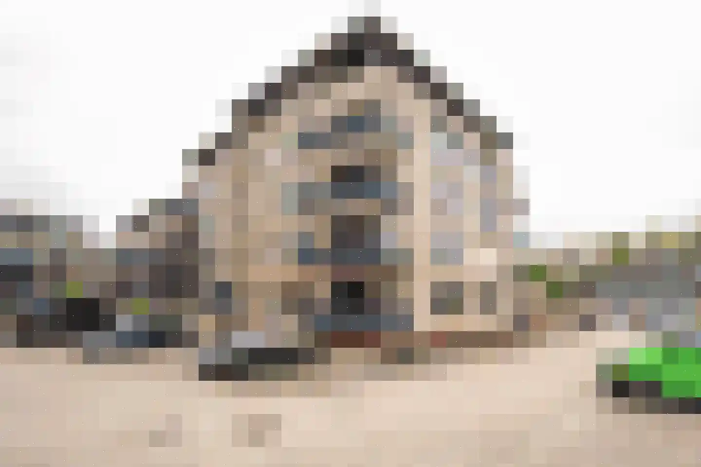 Vrijheidsstraat 2 Leerdam thumbnail 27