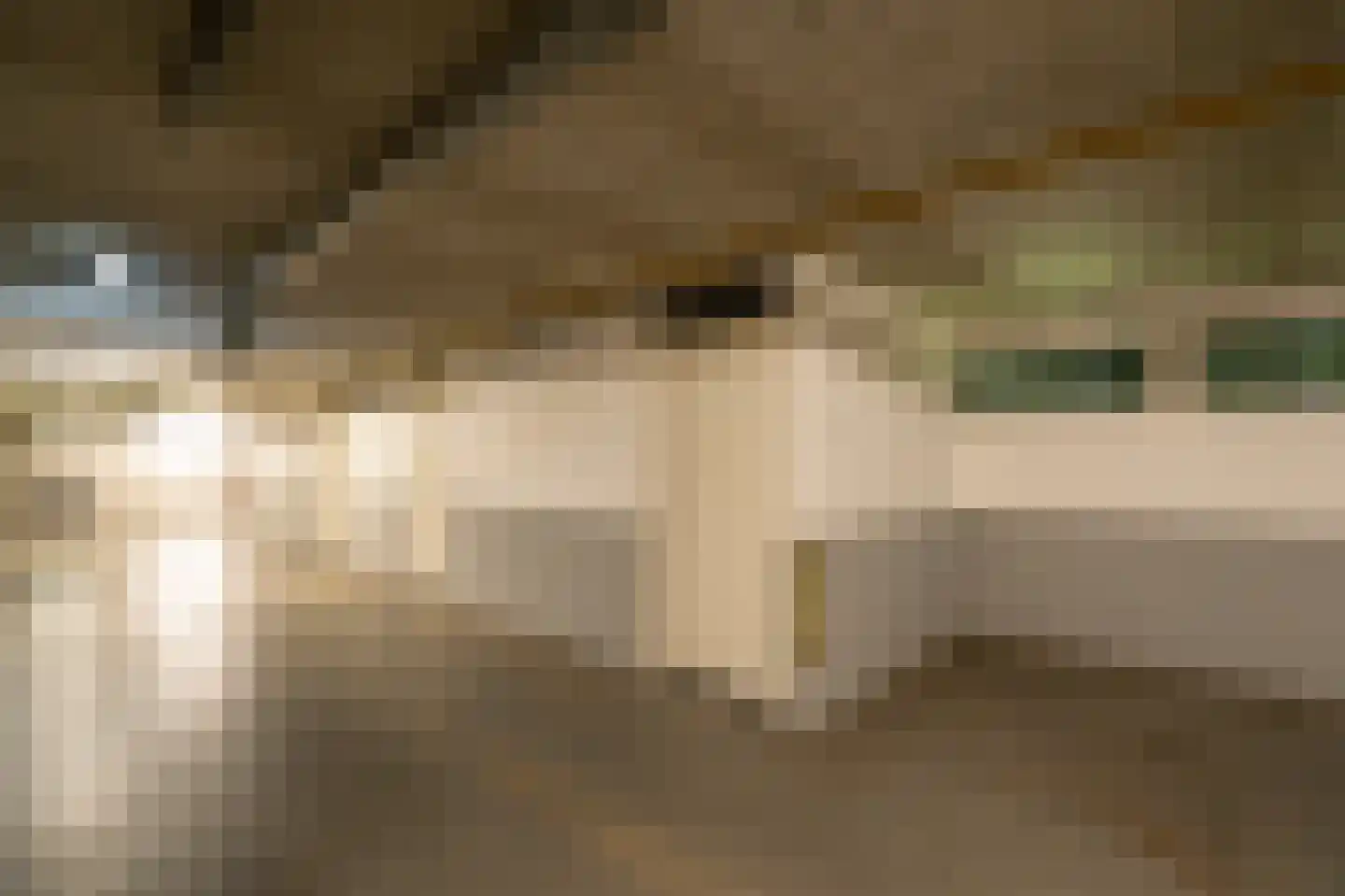 Vrijheidsstraat 2 Leerdam thumbnail 30