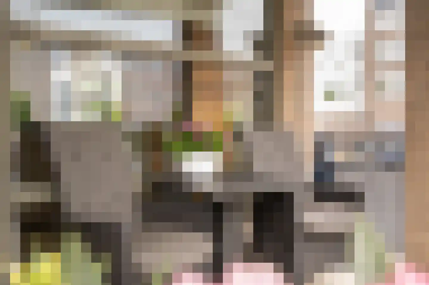 Vrijheidsstraat 2 Leerdam thumbnail 4