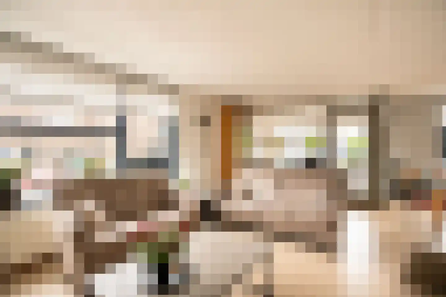 Vrijheidsstraat 2 Leerdam thumbnail 5