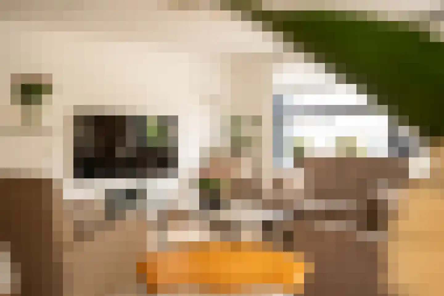 Vrijheidsstraat 2 Leerdam thumbnail 6